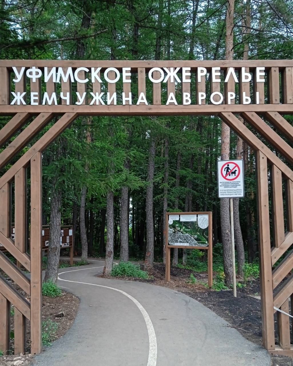 В «Уфимском ожерелье» ради спортплощадки хотят вырубить деревья. По словам главы Кировского района Илвира Нурдавлятова, носу подлежат только сухие и перестойные деревья. Подписаться Прислать новость