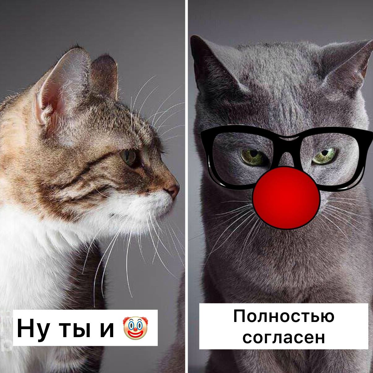 В России в одном из дачных чатов поругались две женщины и одна другую назвала хабалкой добавив эмодзи Обиженная оппонентка пошла в суд и прокуратура и мировой судья увидели в этом состав правонарушения по статье Оскорбление назначив штраф 5000 рублей Но в итоге штраф был отменен так как лингвистическая экспертиза установила что слово хабалка является литературно приемлемым а вообще не оскобление Из за отсутствия состава правонарушения дело закрыли Подписаться Прислать новость