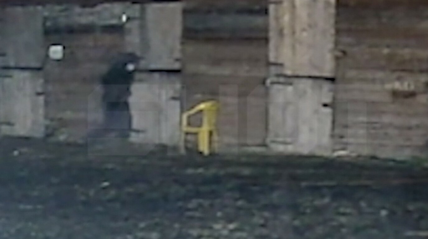 В Волгоградской области неизвестный залил лошадям кислоту пострадали пять животных Живодёр проник ночью в конный клуб в Волгоградской области и залил пяти лошадям в рот кислоту один конь в критическом состоянии передает ArbatMedia   Прислать новость