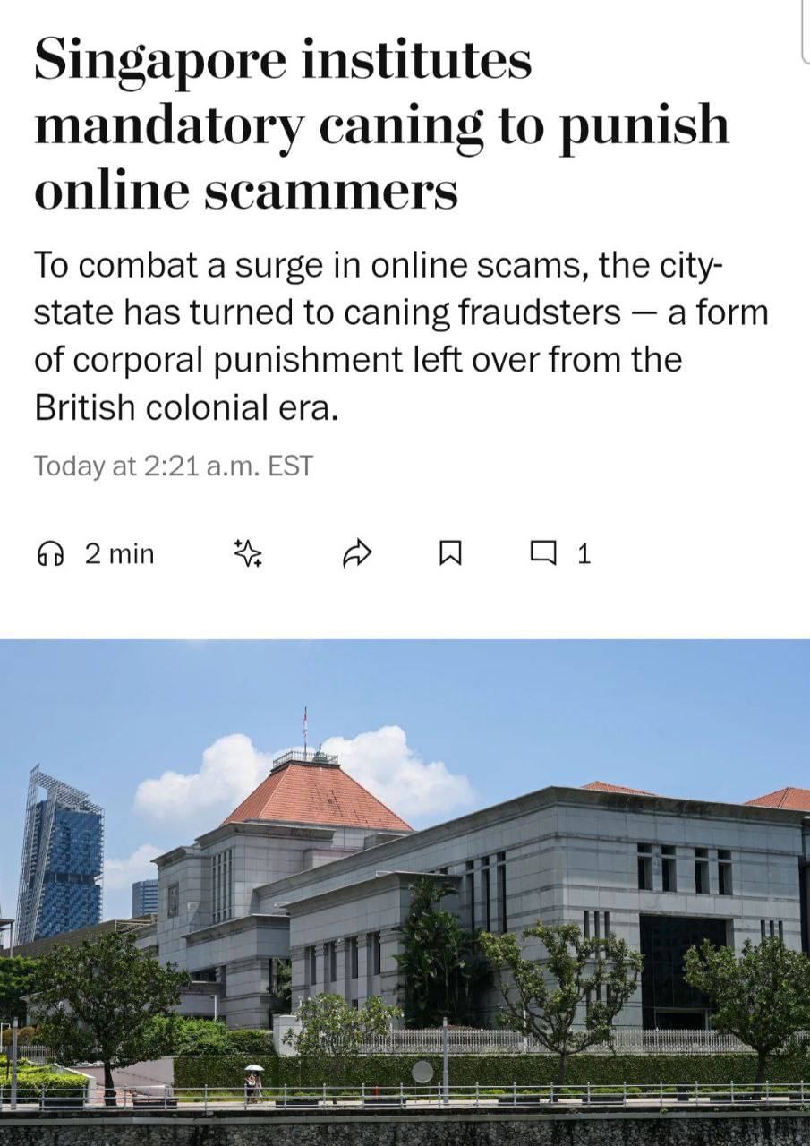 В Сингапуре за мошенничество в сети будут пороть розгами прямо как в средневековье Власти пошли на эти меры из за резкого роста числа скамеров в последние годы Злоумышленники будут наказаны минимум шестью жёсткими ударами но за повторные нарушения количество могут увеличить до 24 ударов Пороть будут гибкими прутьями бамбука или ротанга Финансист Бизнес Подержать канал