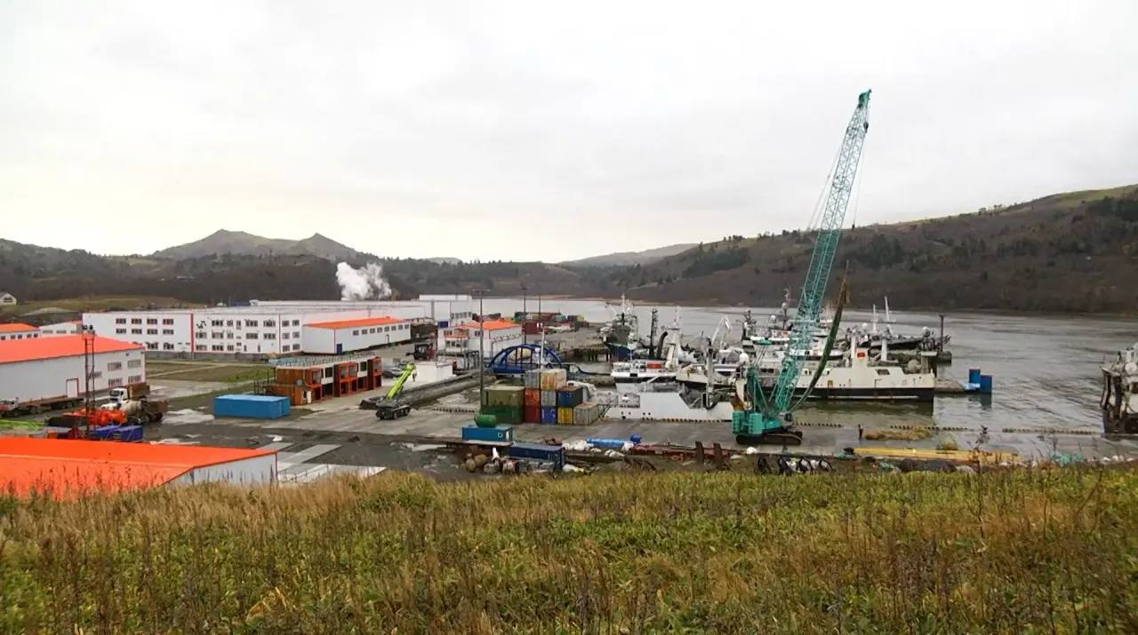 На острове Шикотан успешно работает новый рыбоперерабатывающий комплекс За первый год работы предприятие обеспечило 80 рабочих мест для жителей Курил и переработало более 26 тысяч тонн рыбы Губернатор Валерий Лимаренко в ходе рабочей поездки оценил результаты работы современного производства Рыбоперерабатывающий комплекс на Шикотане градообразующее предприятие которое создает рабочие места для курильчан Уверен вскоре его продукцию будут хорошо знать в разных уголках нашей страны Важно что компания использует комплексный подход к организации рыбопереработки Безотходное производство обеспечивает оптимальную загрузку оборудования и персонала повышает рентабельность а также положительно сказывается на состоянии окружающей среды отметил Валерий Лимаренко Новый завод специализируется на переработке минтая трески и других видов рыб выпуская мороженую продукцию и филе Проект по федеральной программе инвестиционных квот реализовала группа компаний Гидрострой Это уже седьмое высокотехнологичное перерабатывающее предприятие в регионе что обеспечивает Сахалинской области лидерство на Дальнем Востоке по объемам переработки даров моря