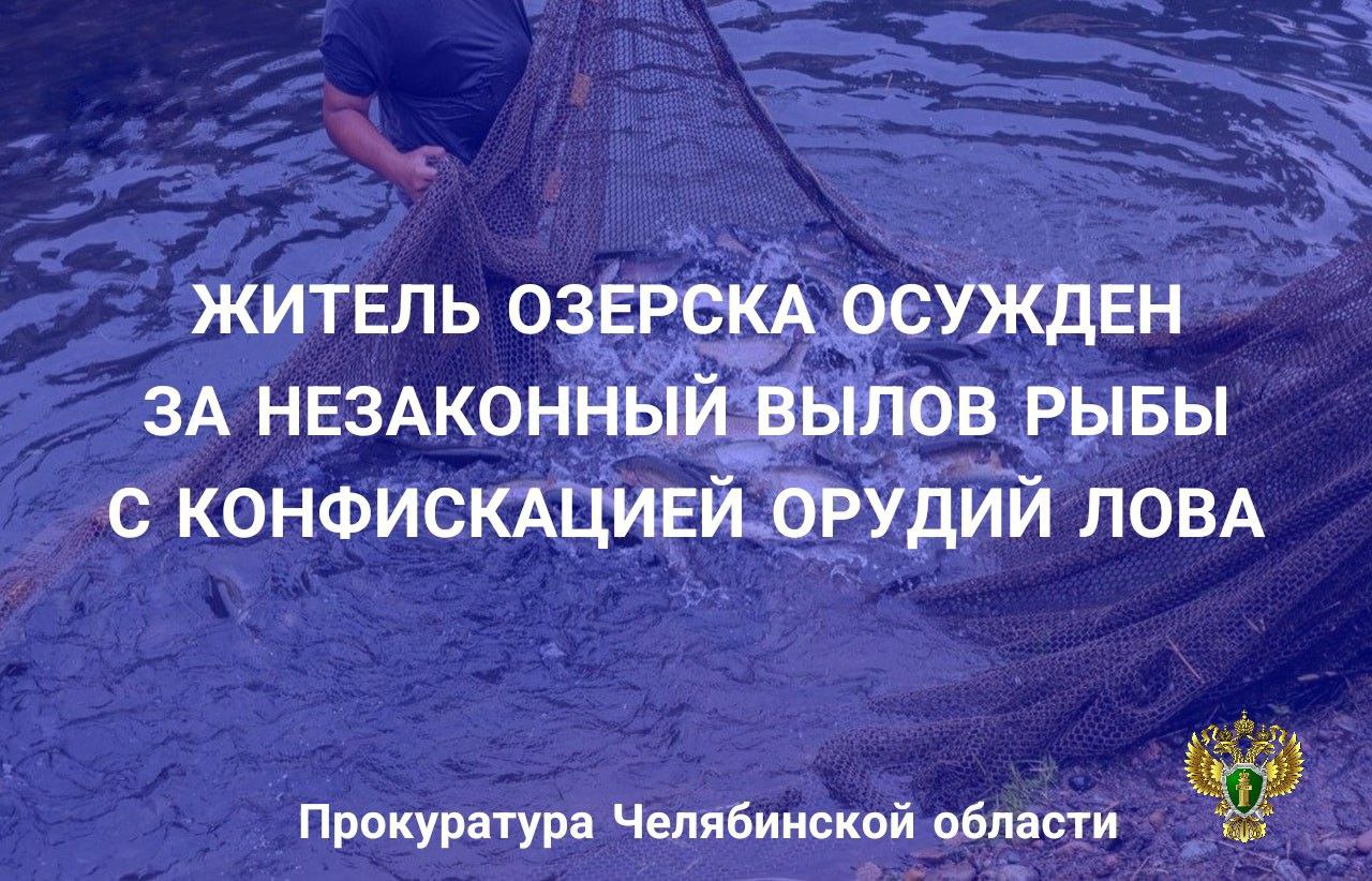 Приговором мирового судьи судебного участка 3 г Озерска 23 летний местный житель признан виновным в совершении преступления предусмотренного п а б в ч 1 ст 256 УК РФ незаконная добыча вылов водных биологических ресурсов Установлено что подсудимый в акватории озера Улагач в период нереста при помощи 20 лесковых сетей незаконно выловил рыбу причинив ущерб Федеральному агентству по рыболовству Нижнеобского территориального управления на сумму 184 тыс рублей Прокурором заявлен гражданский иск о взыскании суммы ущерба который осужденный возместил в сумме 112 тыс рублей Суд с учетом позиции государственного обвинителя назначил виновному наказание в виде 320 часов обязательных работ Гражданский иск прокурора удовлетворен в части не возмещенного ущерба Резиновая лодка с насосом и лесковые сети конфискованы в доход государства chelprocrf Сайт Тelegram ВК