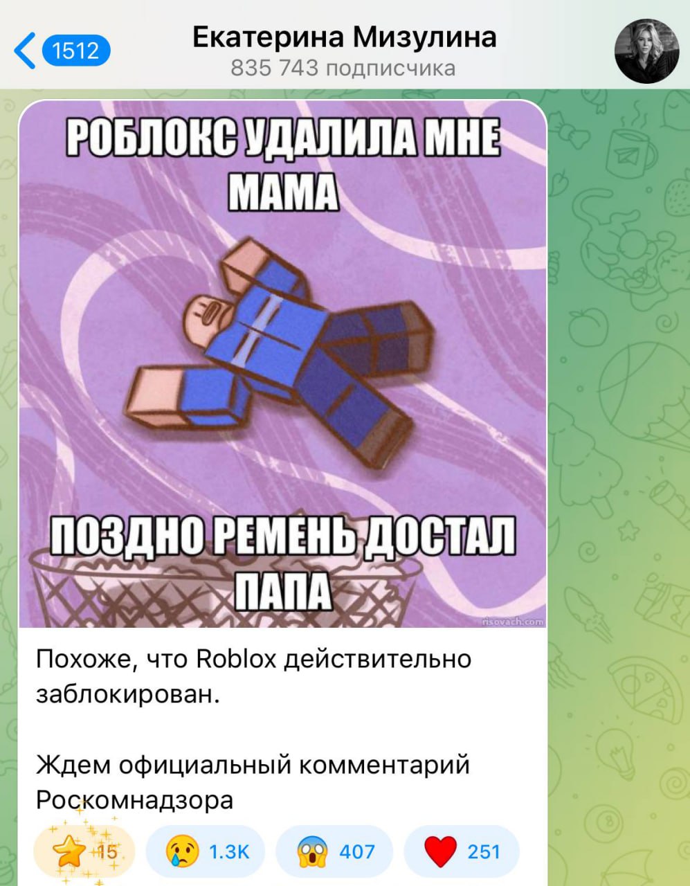 Roblox действительно ЗАБЛОКИРОВАЛИ считает Екатерина Мизулина techmedia