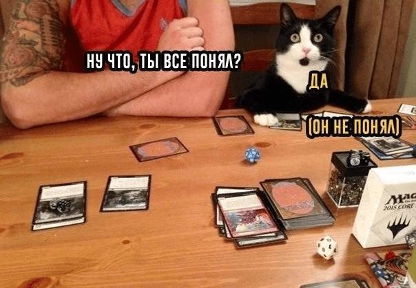 27 сентября в магазине Mind Games пройдет фестиваль настольных ролевых игр Дракон В программе мастер классы по созданию персонажей и покраске миниатюр лекции о настолках а также игры в Последний день Надежды Чужого D D и другие события Делимся большим расписанием в новости inde io news v kazani projdet festival nastolnyh rolevyh igr drakon