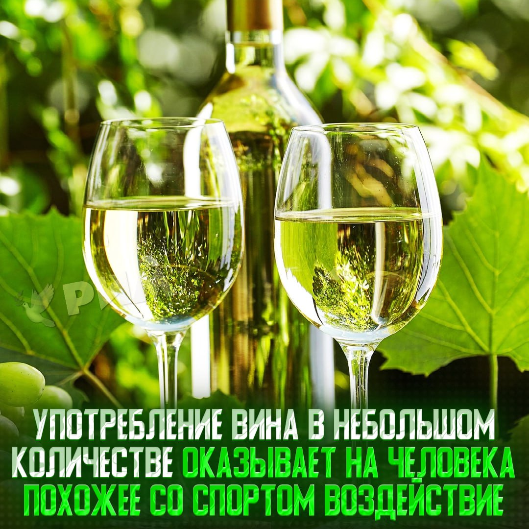 Вино — почти как спорт  Исследователи доказали, что умеренное потребление вина влияет на организм сравнимо с полезными физическими нагрузками.  Спорт и вино работают по одному принципу: в эти моменты организм вырабатывает «гормоны счастья» — дофамин и эндорфин.    — кто куда, а я «тренироваться»    Рифмы и Морген