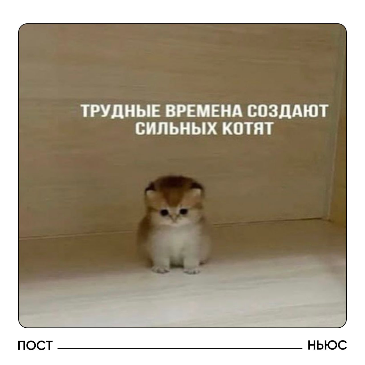 Россиянам на работе уже ничего не страшно У 2 из 3 россиян нет страхов связанных с работой Об этом говорится в исследовании SuperJob Только 3 из 10 испытывают опасения Самое распространенное риск увольнения или потери работы 8 Другие переживания связаны с недооцененностью и маленькой зарплатой 5 а также с закрытием или банкротством организации 3 А вы боитесь из за работы да у меня много страхов разве что чуть чуть ничего не боюсь Подписывайтесь на PostNews в MAX