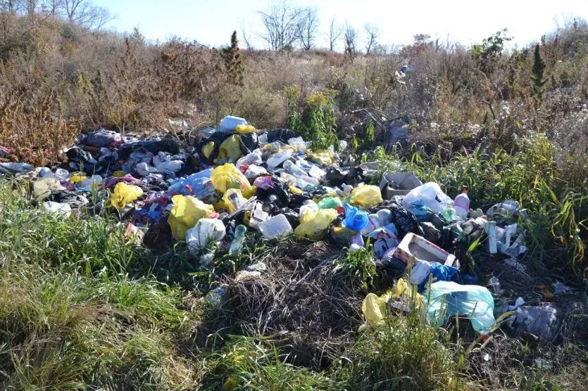 В Челябинской области под контролем Уральского межрегионального управления Россельхознадзора в этом году ликвидировали свалки на 13,4 гектара сельхозземель в трех районах  Как рассказали в надзорном ведомстве, в рамках профилактики нарушений земельного законодательства РФ на Южном Урале в период с девятого января по десятое ноября текущего года при выездных обследованиях земельных участков сельскохозяйственного назначения сотрудники Россельхознадзора выявили 11 свалок на общей площади 15,6 гектара.