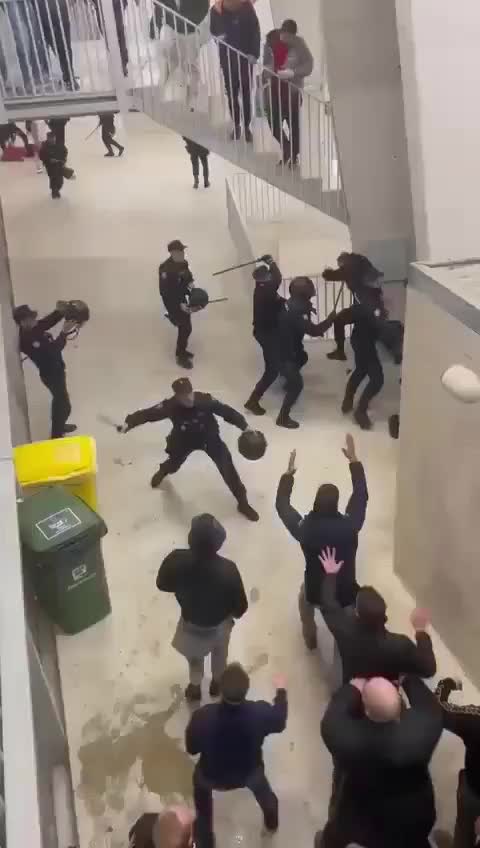 Ла Лига расследует инциденты с болельщиками Осасуны во время матча с Реалом