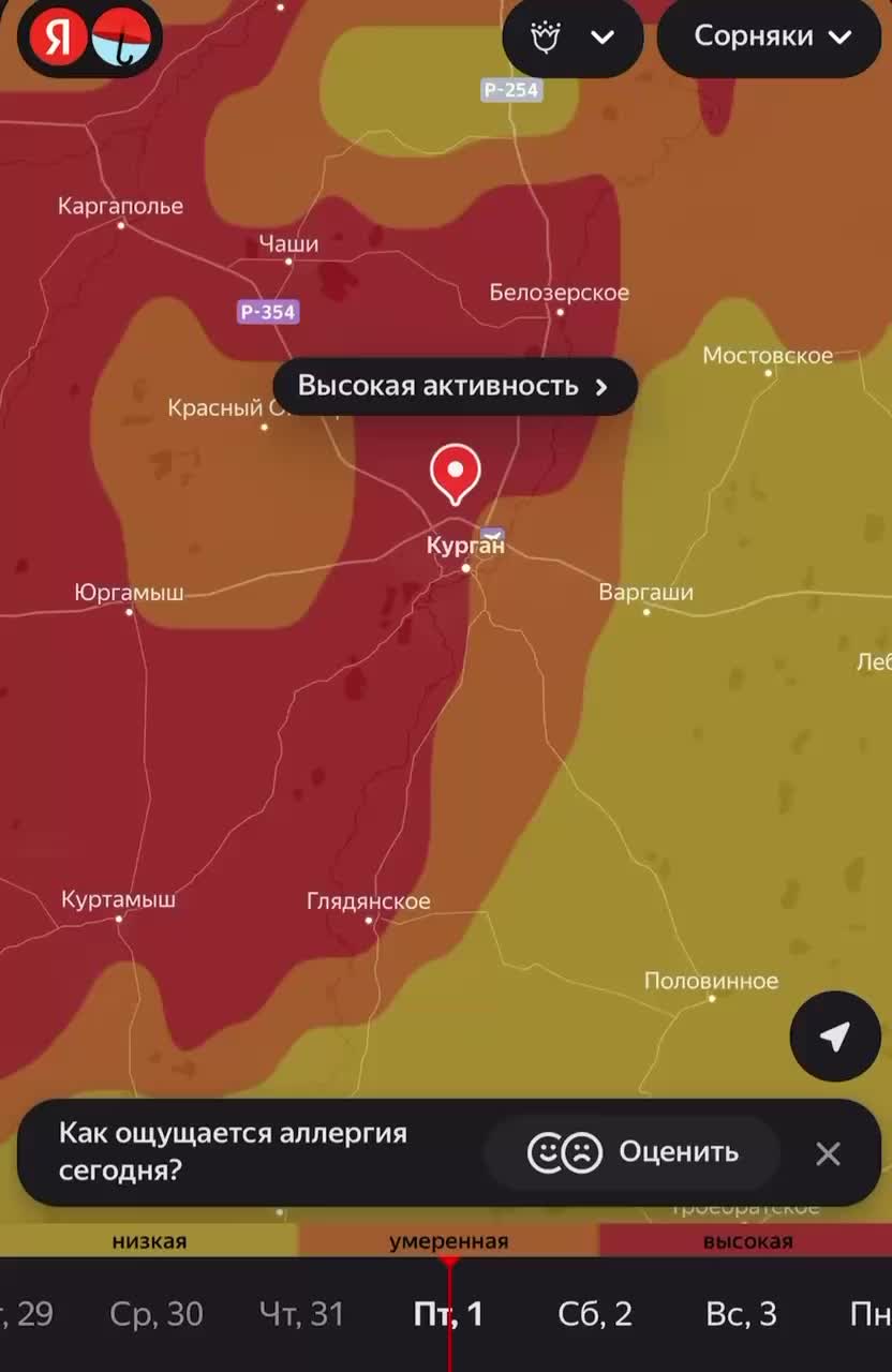 Высокая активность пыльцы зафиксирована в Нижнем Тагиле и Пензе