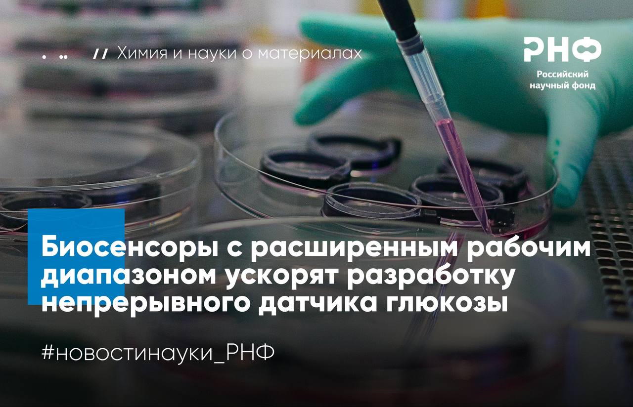 Ученые МГУ имени М В Ломоносова адаптировали высокочувствительные глюкозные биосенсоры к работе в межклеточной жидкости и крови больных диабетом Эксперименты на крысах подтвердили что новый датчик отслеживает сахар в межклеточной жидкости в реальном времени что открывает путь к созданию более надежных систем для контроля состояния больных диабетом Исследование выполнено при поддержке Российского научного фонда Диабет заболевание при котором организм не может регулировать уровень сахара в крови Без постоянного контроля глюкоза может повышаться или снижаться до опасных значений что грозит повреждением органов и даже комой Современные имплантируемые сенсоры работают на основе фермента глюкозооксидазы который окисляет глюкозу кислородом с образованием перекиси водорода Однако в тканях и межклеточной жидкости где кислорода мало такие датчики теряют точность и чувствительность особенно при высоких концентрациях сахара Исследователи разработали новый биосенсор на основе глюкозооксидазы и берлинской лазури уменьшив количество фермента на сенсоре в 10 20 раз Этот шаг позволил сенсору уравновесить химические процессы и точно определять концентрацию глюкозы даже при низком уровне кислорода Эксперименты показали что сигнал остается точным вплоть до очень высоких концентраций 5 4 грамма на литр что полностью покрывает все возможные уровни сахара у человека Уменьшение фермента снизило чувствительность сенсора и чтобы компенсировать это ученые применили импульсный режим работы Так в течение 15 секунд сенсор накапливал продукт реакции перекись водорода а затем за доли секунды снимал усиленный сигнал Такой подход повысил чувствительность системы в 100 раз сохранив при этом точность измерений Эффективность новой технологии проверили на лабораторных крысах в Федеральном медицинском биофизическом центре имени А И Бурназяна ФМБА России Сенсор имплантированный под кожу успешно отслеживал колебания уровня глюкозы в реальном времени После учета физиологической задержки между кровью и межклеточной жидкостью около 20 минут данные полностью совпали с измерениями в крови Сочетание высокоактивных катализаторов с прогрессивным электрохимическим режимом позволило существенно продвинуться на пути создания отечественного малоинвазивного биосенсора на глюкозу Но есть и нерешенные задачи В дальнейшем мы планируем уделить особое внимание проблеме операционной стабильности сенсорных покрытий рассказывает руководитель проекта поддержанного грантом РНФ Мария Комкова кандидат химических наук старший научный сотрудник научно исследовательской лаборатории электрохимических методов МГУ имени M В Ломоносова Результаты опубликованы в журнале Analytical Chemistry Подробнее в материале газеты Коммерсант новостинауки РНФ химия