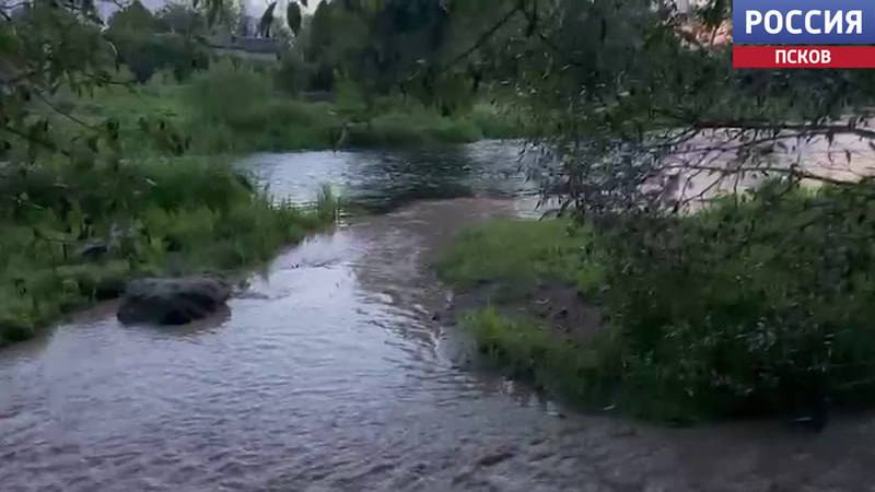 По поручению прокурора области Андрея Мошкова Псковской природоохранной межрайонной прокуратурой организована проверка по сообщению средств массовой информации об очередном факте загрязнения реки Милевка в городе Пскове. В ходе проверочных мероприятий будут установлены все обстоятельства произошедшего. При установлении нарушений будет принят весь комплекс мер прокурорского реагирования. Ход и результаты проверочных мероприятий находятся на контроле в прокуратуре области.
