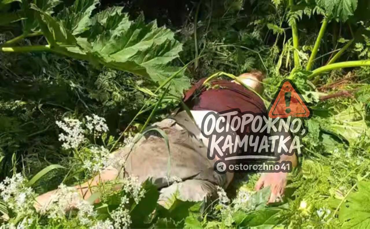 В микрорайоне Сероглазка обнаружено тело 38-летнего мужчины. По предварительной информации, он упал в районе теплотрассы и скатился вниз. Тело нашли неподалеку от дома культуры. На место выехала оперативно-следственная группа.