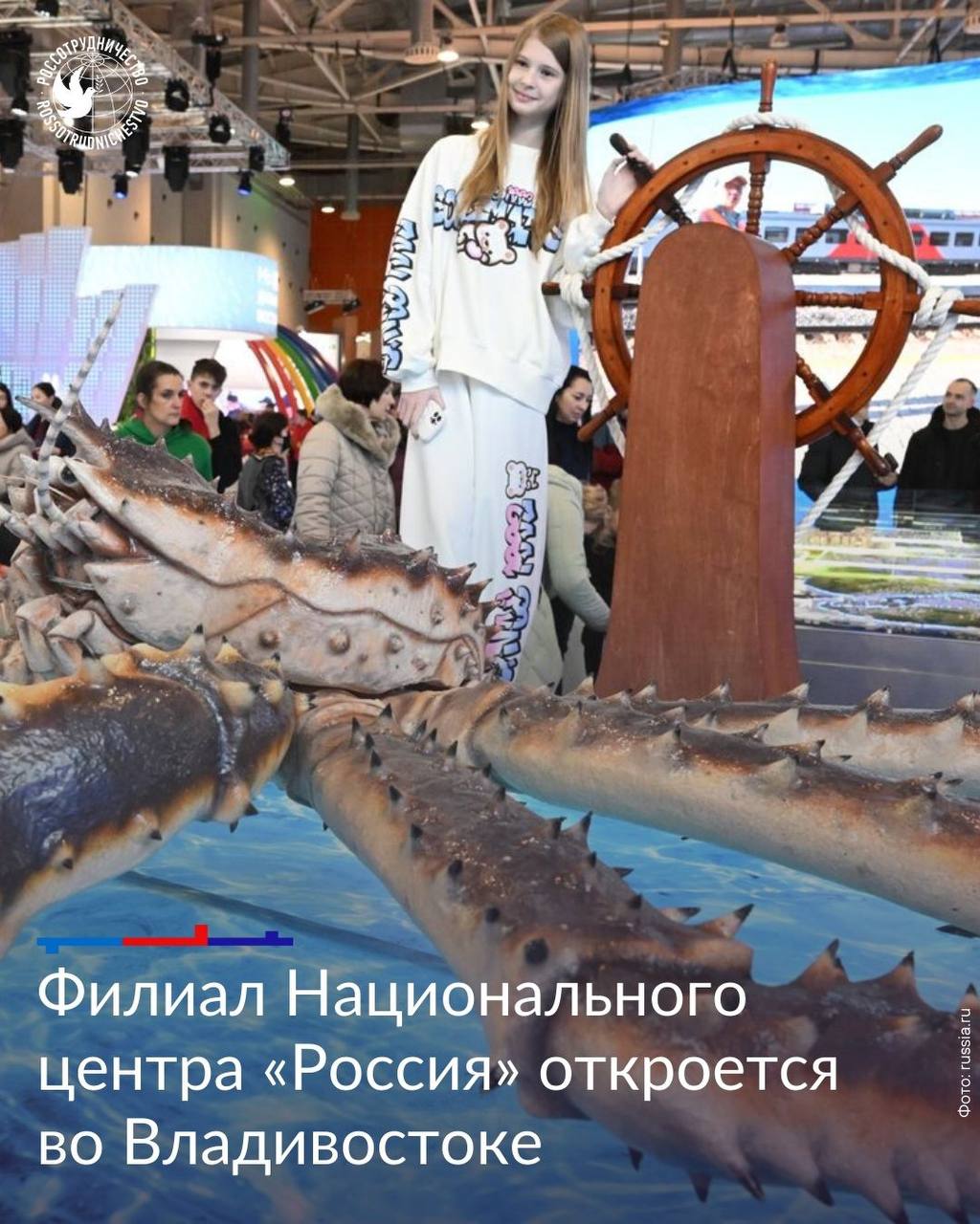 Во Владивостоке откроется первый филиал Национального центра «Россия» Новый объект будет создан на базе Владивостокского океанариума, находящегося на Спортивной набережной вдоль побережья Амурского залива, в центре города. Экспозиции будут яркими и информативными, подчёркивающими разнообразие культурной и социальной жизни края. Посетители смогут узнать историю Приморья, его современные реалии и будущие сценарии развития. Также выставка, оформленная в морской тематике, расскажет о достижениях в различных областях, таких как промышленность, транспорт, логистика, наука, образование, спорт, культура и туризм. Работы по строительству филиала Национального центра «Россия» в Приморье планируется завершить к 1 сентября. #Россия