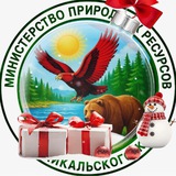 Аватар Телеграм канала: МИНПРИРОДЫ ЗАБАЙКАЛЬСКОГО КРАЯ