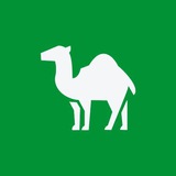 Аватар Телеграм канала: Кстати, Челябинск