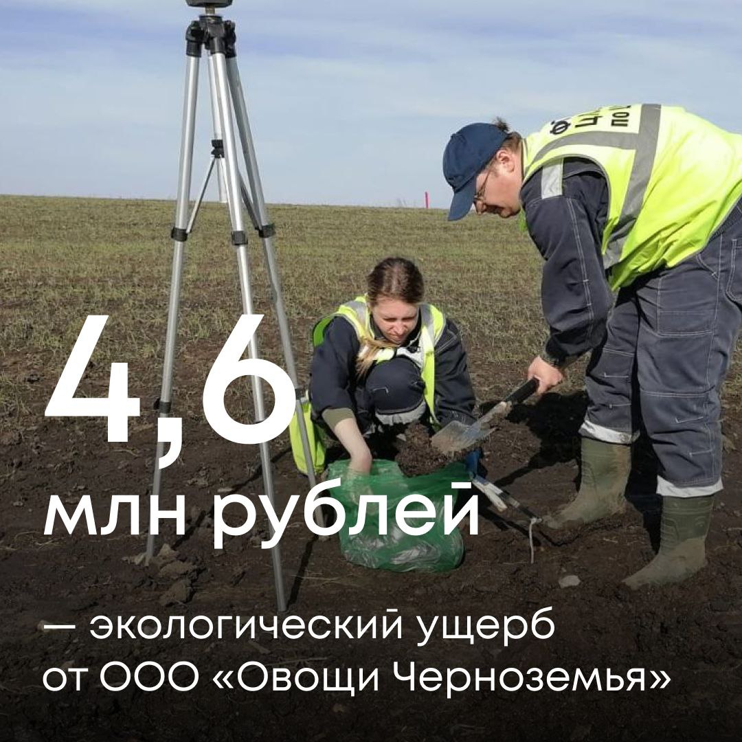 Специалисты Службы проверили ООО «Овощи Черноземья» — тепличный комплекс из Липецкой области. В результате мероприятия было обнаружено загрязнение почвы площадью более 1,4 тыс. м². Экологический ущерб превысил 4,6 млн рублей. Направили компании требование о добровольной оплате. Если средства не поступят вовремя, обратимся в суд.