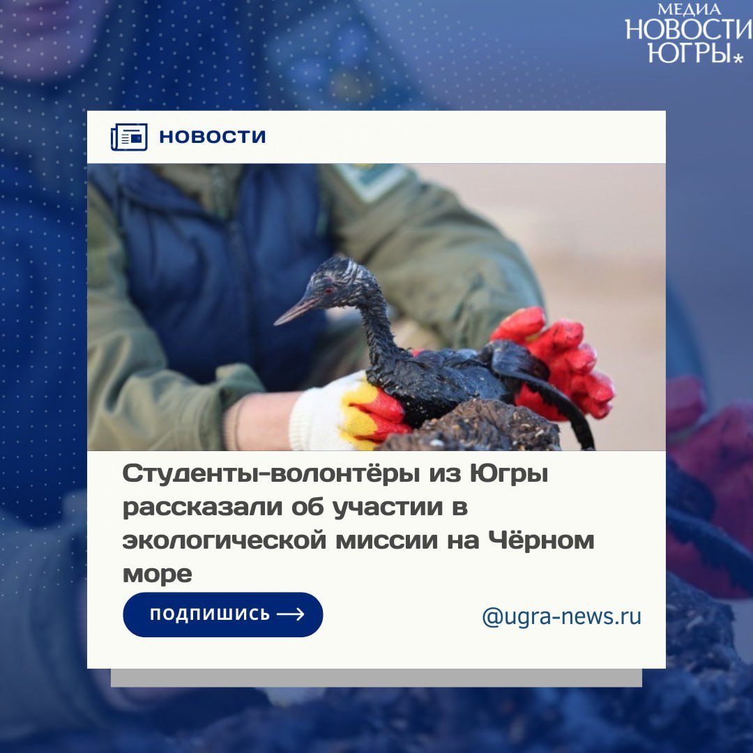 Югорские студенты прочесывали анапские пляжи на протяжении двух недель, отделяя песок от мазута. Спасали птиц и море. Теперь они возвращаются к учебе, а к старту готовится новый студотряд добровольцев-экологов.  Наши юные добровольцы прибыли в Анапу в составе Гуманитарного добровольческого корпуса и работали под руководством сотрудников МЧС России. В завершение гуманитарной миссии подполковник, первый заместитель командира Волжского спасательного центра МЧС России Максим Таджибов поблагодарил студентов югорских вузов за работу.  – Это первый такой опыт в моей практике за 21 год работы. Чтобы вот так глобально из региона приехали ребята и совместно с сотрудниками МЧС России проводили работы. Спасибо старшим кураторам, организация на высоте. Вы выполняли работы наравне с сотрудниками МЧС России. Это получилась очень качественная работа, где наши военнослужащие смогли передать опыт добровольцам, – сказал Максим Таджибов.  Редакция газеты внимательно следила за работой добровольческого отряда со дня отправки в южном направлении. Напомним, что почти 100 югорских студентов за две недели слаженной командной работы в непростых условиях внесли немалый вклад в восстановление экосистемы Черного моря. Подробнее о проделанной работе, читайте тут!