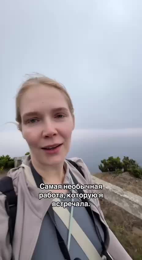 В Португалии открыта вакансия для интровертов: наблюдение за дельфинами у океана