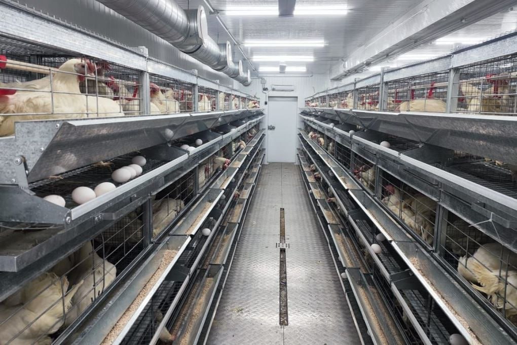 Чукотка вышла на первое место в ДФО по самообеспечению яйцами Дальний Восток обеспечивает себя яйцами на 59 5 Это следует из недавно опубликованных статистических данных по самообеспечению субъектов РФ за 2024 год Кстати показатель подрос в 2023 м он составлял 58 9 Лучше всего среди дальневосточных субъектов обеспечивает себя яйцами Чукотка на 87 4 На втором месте Хабаровский край с уровнем самообеспечения 81 8 против 62 5 годом ранее На третьем Магаданская область 78 2  Успех Чукотки суммарный результат планомерной работы предпринимателей и властей В правительстве округа реализуют механизмы поддержки Запускать птицефабрики в Арктике сложно затратно И необходимо На Чукотке в 2024 году ввели несколько профильных предприятий В итоге уже к началу 2025 го в регионе работали 11 производств выпускающих более 9 млн штук яиц в год Сегодня в ЧАО твердо рассчитывают добиться стопроцентного самообеспечения яйцами Ставка делается на расширение мощностей птицефабрик Кстати за январь сентябрь 2025 года производство яиц на Чукотке выросло на 43 5 по сравнению с январем сентябрем 2024 го в ДФО в целом на 4 5 Подробнее на сайте Востокгосплана