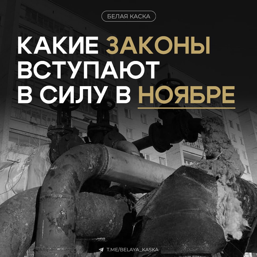 В ноябре 2024 года в России вступают в силу ряд новых законов.  Среди них — единый стандарт выплаты компенсации на услуги ЖКХ, введение маркировки «Честный знак», а также специальный реестр для майнеров.