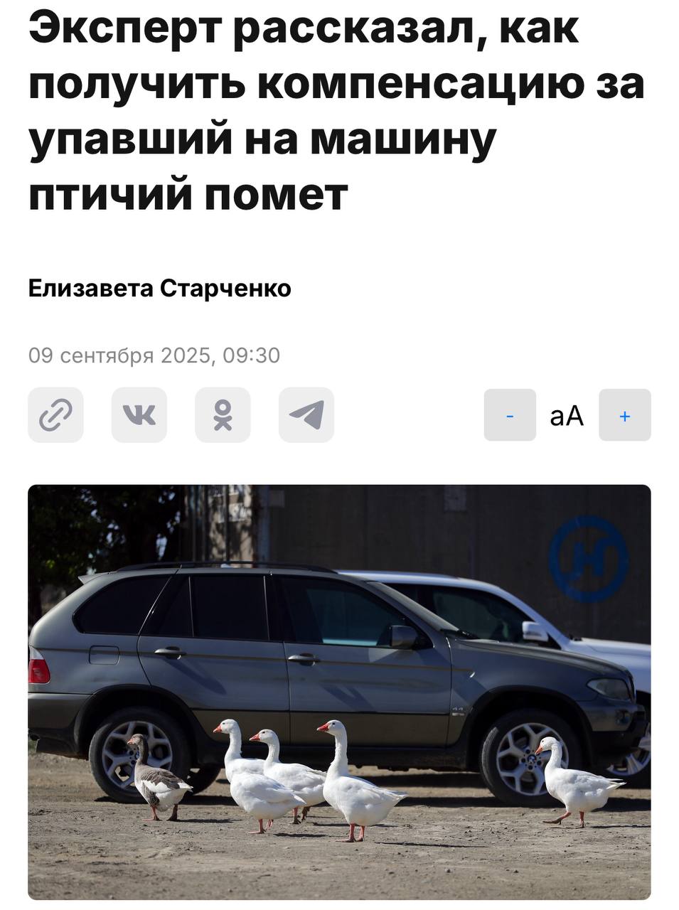 Водители могут получить компенсацию за птичий помёт упавший на машину об этом говорят юристы Для этого достаточно прописать в договоре КАСКО риск повреждения животными или воздействия птиц Затем нужно сделать фото и обратиться в страховую За год россияне получили уже 600 млн рублей выплат за падающие на авто предметы включая птичьи дела Не зря говорят что это к деньгам techmedia