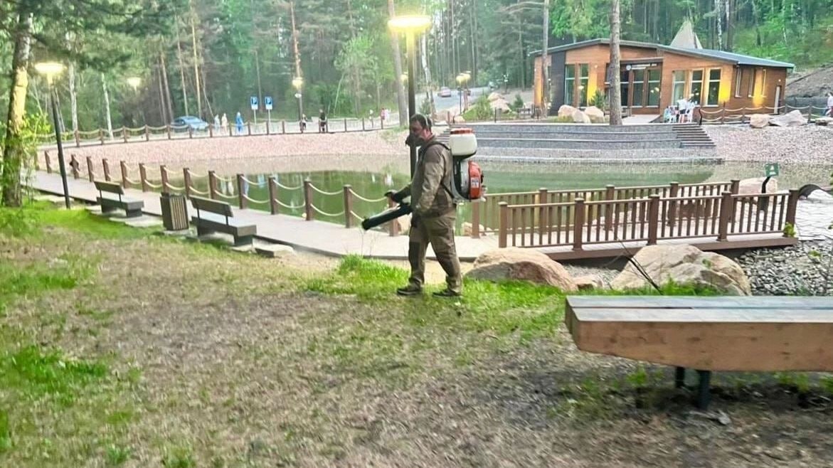 Красноярские экопарки и «Столбы» обработают от клещей. Когда там лучше не гулять? Обработку должны были провести еще 5–7 мая, однако из-за погодных условий ее перенесли. «Гремячую гриву», смотровую на Николаевской сопке, территорию вокруг визит-центра «Серебряный лог» будут обрабатывать c 9:00 13 мая. Территорию возле визит-центра Восточного входа на «Столбы», Торгашинскую лестницу и «Юдинскую долину» собираются обрабатывать с 9:00 14 мая. «После завершения обработки в указанных зонах нежелательно находиться людям и животным минимум 6 часов, чтобы избежать контакта с препаратами», — отметили в ТИЦ. Повторная обработка запланирована через месяц. Специалисты отмечают, что обработка снижает риск встречи с клещами, но не гарантирует 100% защиты. Посетителей просят носить закрытую одежду и обувь, использовать репелленты, а во время прогулок регулярно осматривать себя и избегать высокой травы и кустарников.