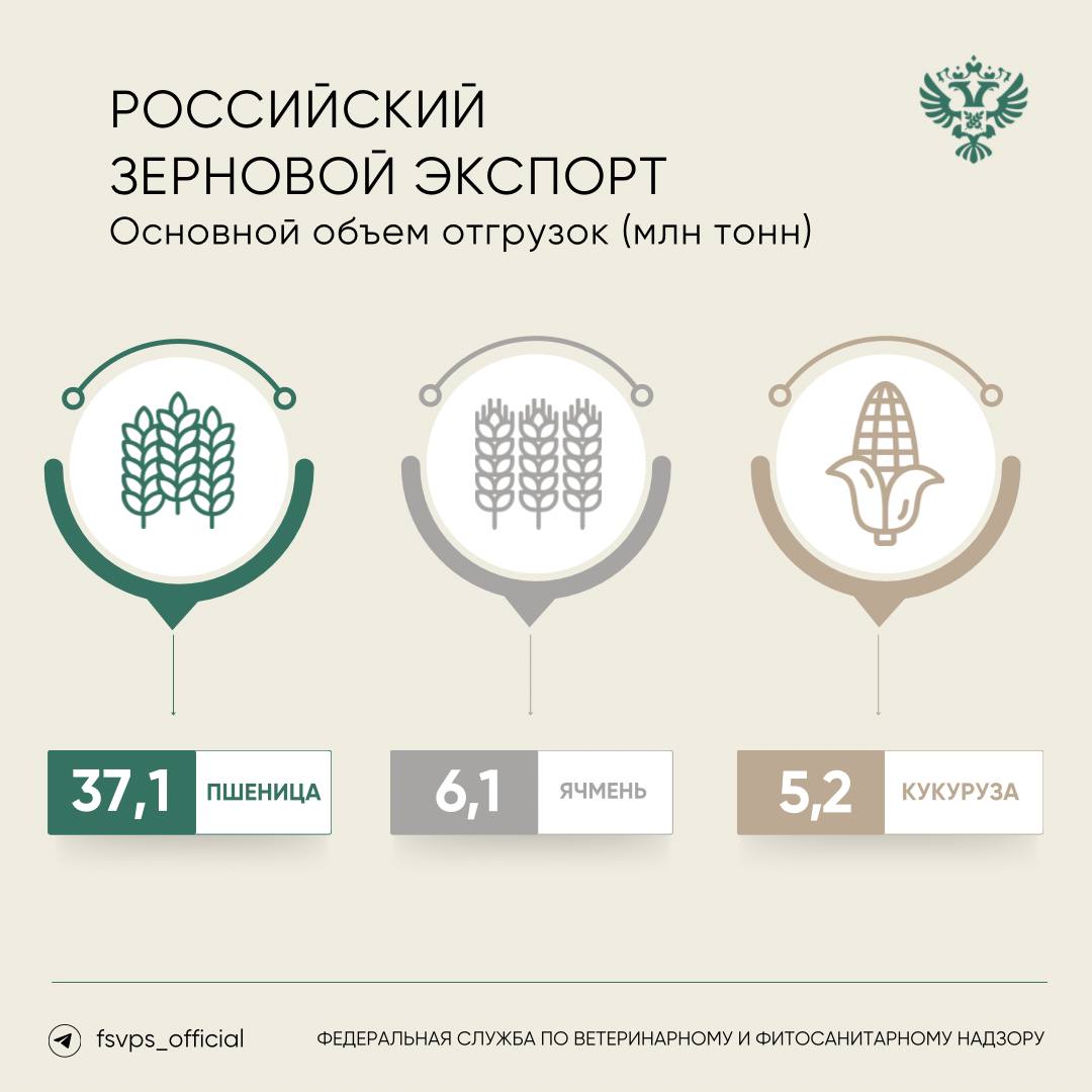 Почти 58 млн тонн зерновой продукции экспортировано с начала 2024 года  По данным ФГИС «Аргус-Фито», за 8 месяцев 2024 года территориальными управлениями Россельхознадзора оформлены фитосанитарные сертификаты для экспорта с территории России 57,96 млн тонн зерна и продуктов его переработки.    Это на 3,5 млн тонн, или 7%, превышает показатель аналогичного периода 2023 года.        В текущем году возобновились поставки российского зерна на рынок Эфиопии, Джибути и Гамбии.  Подробнее об увеличении объемов закупок российского зерна — в карточках