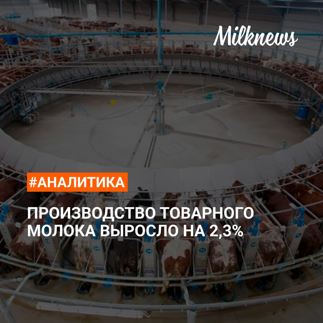 Производство товарного молока выросло до 8,6 млн т в январе-апреле 2025 года аналогичному периоду 2024 года. В сельхозорганизациях производство выросло на 3,7% +248 тыс. т - до 7 млн. т. Основной прирост отмечен в следующих регионах: Республика Татарстан +42 тыс. т Пензенская область +23 тыс. т Кировская область +18 тыс. т Республика Удмуртия +19 тыс. т Валовое производство молока в хозяйствах всех категорий увеличилось в январе-апреле 2025 года на 0,9% к уровню того же периода 2024 года, до 10,4 млн т. «По итогам первых 4 месяцев текущего года сохраняется прирост производства товарного молока в большинстве регионов России благодаря наращиванию молочной продуктивности коров в среднем – на 5% , в том числе на фоне сравнительно теплых погодных условий. Однако сокращение поголовья коров сдерживает темпы роста производства, а в регионах Сибири и Урала обуславливает сокращение объемов, несмотря на растущую продуктивность», - отмечает директор аналитического департамента Союзмолоко Алексей Воронин. Подробнее
