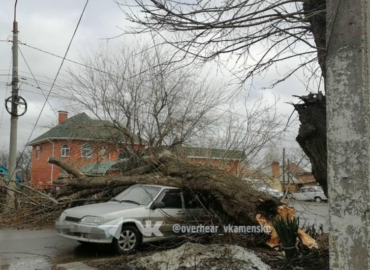 В Каменске упавшее дерево придавило припаркованный автомобиль В Каменске Шахтинском на улице Ворошилова дерево упало прямо на припаркованный рядом автомобиль Кадрами делятся очевидцы в соцсетях Люди не пострадали со слов прохожих машина стояла пустой Другой проезжающий мимо автомобилист вовремя притормозил Ранее жителей Ростовской области предупредили о штормовом ветре с порывами до 24 м с прогноз актуален и завтра Специалисты советуют не оставлять свой транспорт у шатких конструкций и опор ЛЭП Пользователи Сети предполагают что в произошедшем замешаны не только силы природы но и бездействие местного департамента ЖКХ Якобы получить разрешение на вырубку дерева своевременно не удалось из за бумажной волокиты Подробнее на сайте Фото сообщество ВКонтакте ПВК Подслушано в Каменске Шахтинском ИА ДОН 24 Отправить новость