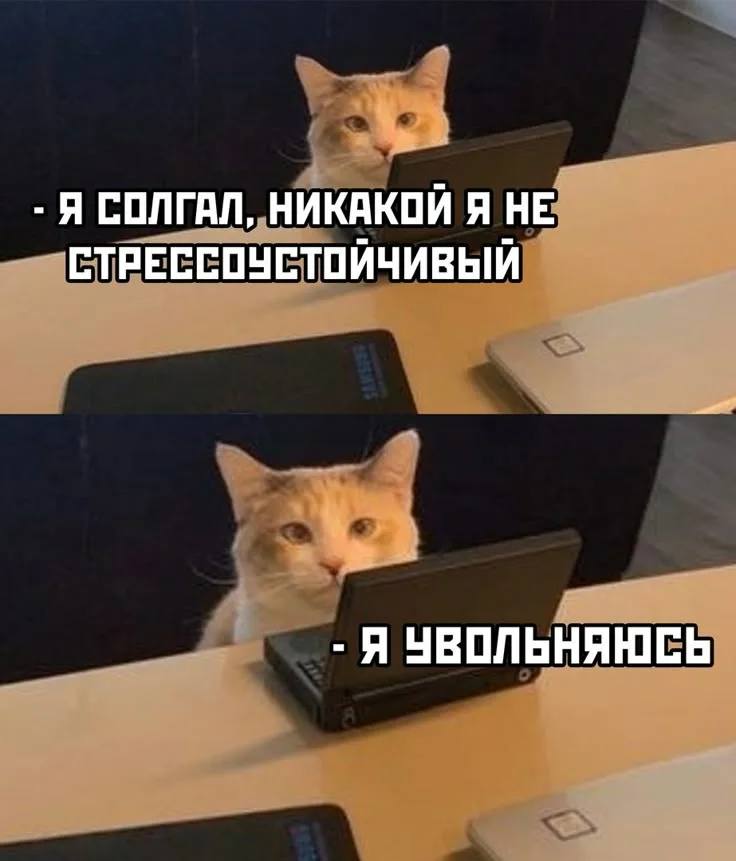 Каждый седьмой россиянин готов уволиться после новогодних праздников исследование