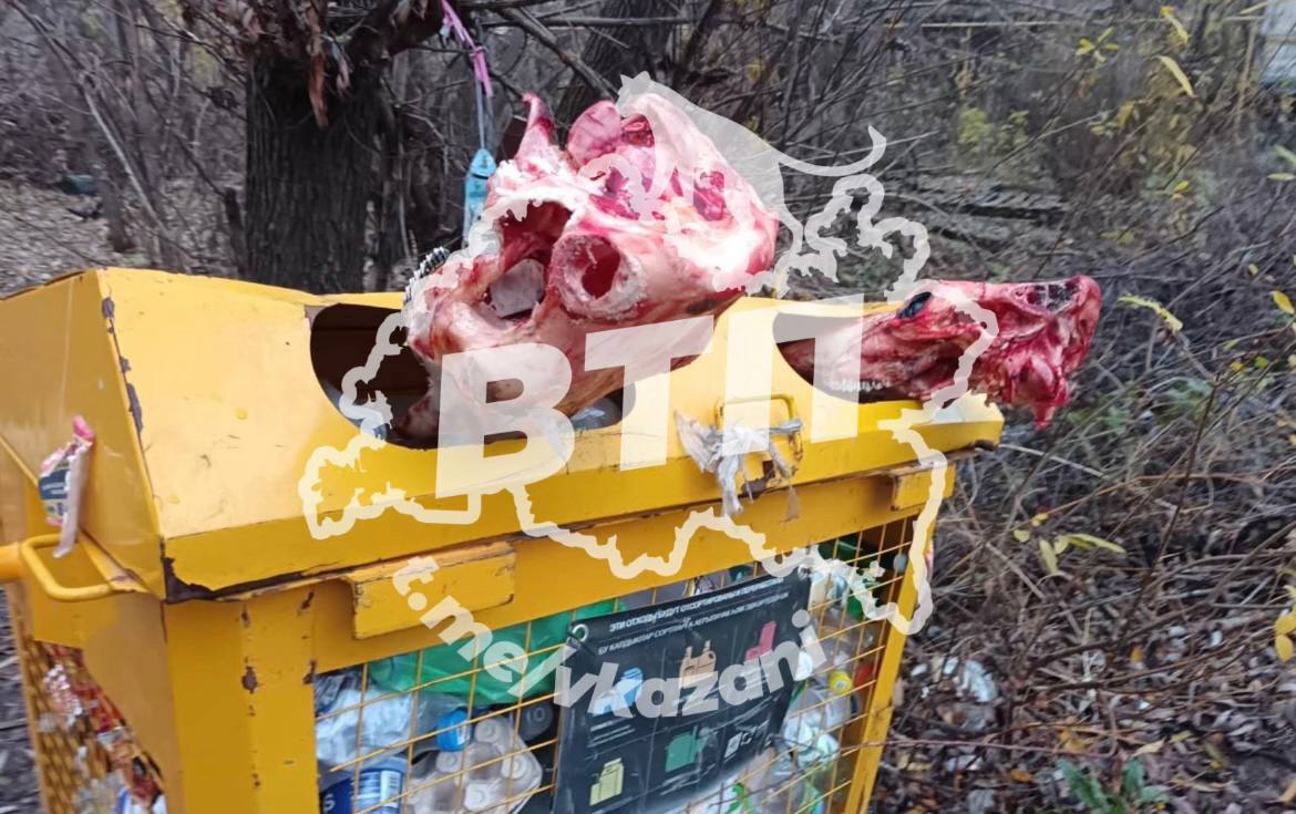 Мясной цех устроили казанцы в желтой сетке для мусора Такая картина замечена в районе улицы Серова Заботливо напоминаем эти контейнеры для перерабатываемых отходов а не для костей Присылайте нам новости через VTPnewsbot и вас услышат Подписаться на канал Мы в МАХ