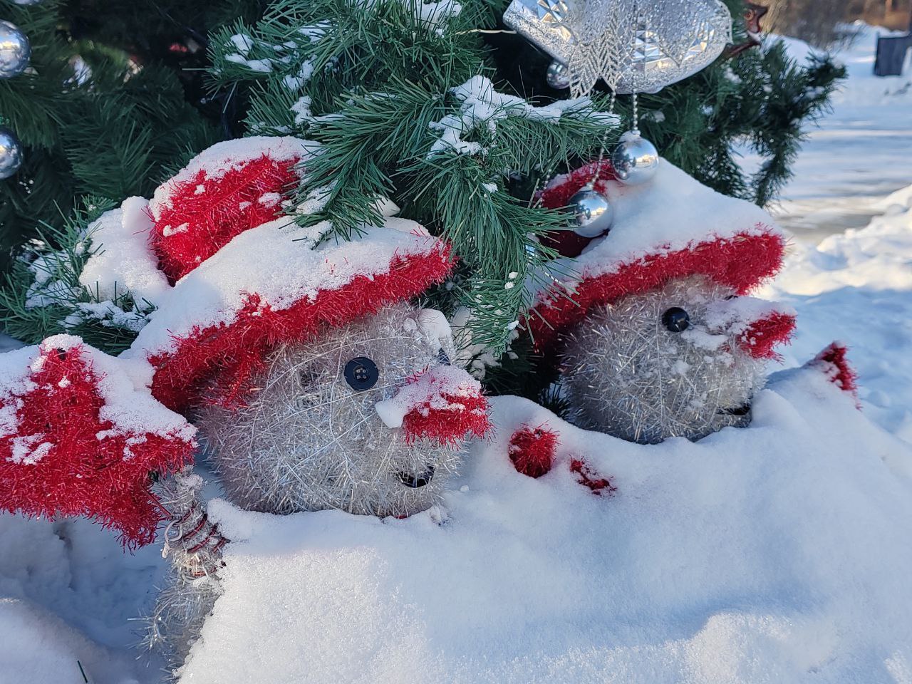 Полицейские составили портреты типичных курьеров в схемах мошенничества Как пишут полицейские практика показывает что роль курьера в мошеннических схемах берут на себя самые разные люди Тем не менее можно выделить три наиболее часто встречающиеся группы  16 24 лет Чаще всего мужчины из регионов России и стран СНГ Без стабильной работы с финансовыми трудностями Вербуются через Telegram с оплатой от нескольких тысяч до десятков тысяч рублей за операцию Мотивация легкий и быстрый заработок Кураторы убеждают данную возрастную категорию в минимальных рисках или в легальности заработка  30 39 лет Нередко ранее судимые иногда с зависимостями Эти люди целенаправленно ищут противоправный заработок и осознают риски Их не вводят в заблуждение они прекрасно понимают недосказанности и изначально согласны работать в тени забирать наличные перевозить передавать дальше Для них это источник дохода а не ошибка или случайность  Старше 50 лет Пожилые люди чаще женщины Сначала их обманывают и лишают сбережений затем под давлением и угрозами вынуждают выполнять поручения перевозить деньги встречаться с другими участниками Они действуют из страха и растерянности искренне считая что помогают банку или следствию Полицейские напоминают курьер не пешка а полноценный участник преступления Обещания лёгкого заработка или истории про операции правоохранителей заканчиваются уголовной ответственностью и взысканием похищенных средств Фото Новая Бурятия