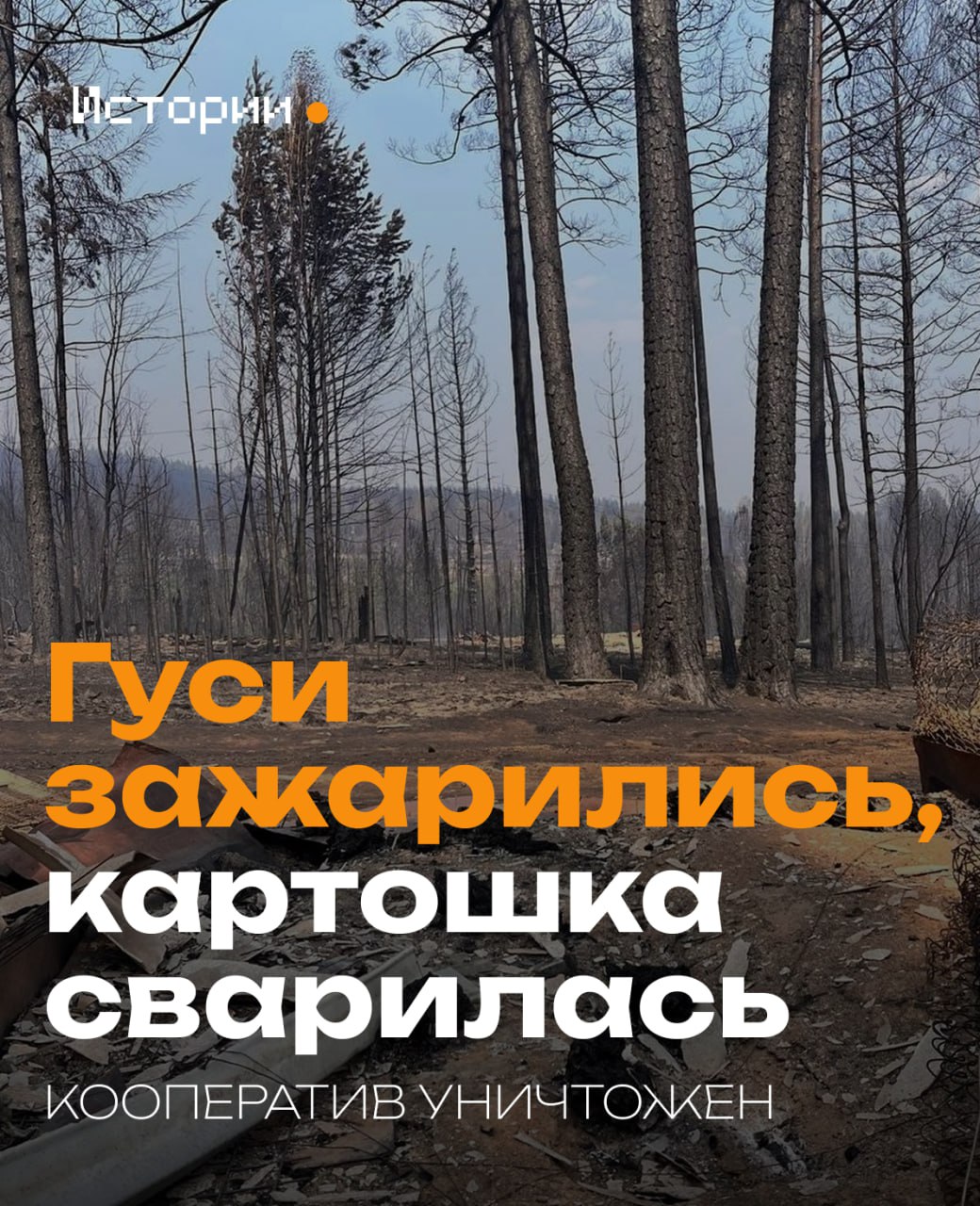 Огонь сожрал кооператив «Локомотив-82» в Атамановке одним махом: дома, деревья, животных, участки. Люди, потерявшие все, в ярости и отчаянии, на которые имеют полное право. Репортаж с места страшного пожара. ⏺ Истории