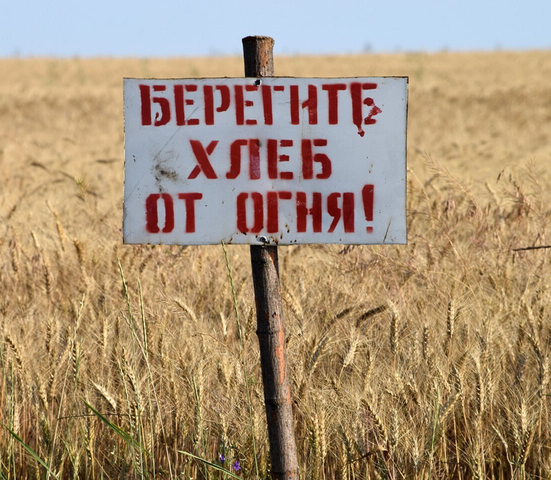 В ДНР за июль из-за пожаров уничтожено более 1,1 тыс. гектаров пшеницы  Более 1,1 тысячи гектаров пшеницы уничтожено пожарами на полях в ДНР за июль. Об этом сегодня сообщили в Главном управлении МЧС по Республике.  «В течение прошлого месяца огненный фронт уничтожил свыше 1 тысячи 100 гектаров пшеницы на корню, еще 865 гектаров — сгоревшая стерня», — отметили там.  В главке добавили, что количество пожаров на сельхозугодиях Республики в этом году выросло в два раза по сравнению с прошлым годом.