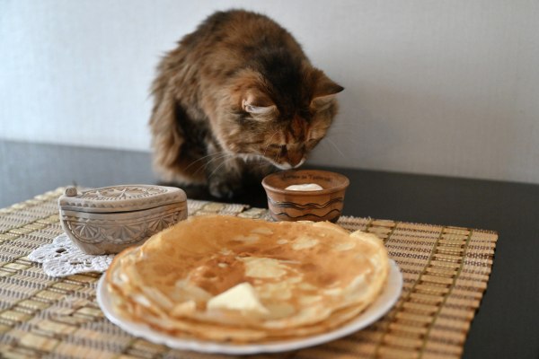 Приготовление блинов для семьи на Масленицу обойдётся почти в 209 рублей Для подсчёта использовался рецепт блинов на опаре из Книги о вкусной и здоровой пище В него входят мука молоко дрожжи яйца растительное масло сахар и соль Общая цена ингредиентов составила 208 рублей 90 копеек Самыми дорогими продуктами оказались молоко почти 98 рублей за литр и пшеничная мука 55 рублей 80 копеек за килограмм Дрожжи обошлись почти в 25 рублей два куриных яйца в 19 рублей Самыми доступными ингредиентами стали подсолнечное масло сахар и соль Цифры приводит РИА Новости опираясь на данные Росстата и одной из торговых сетей Подписаться на Говорит Москва Telegram VK MAX