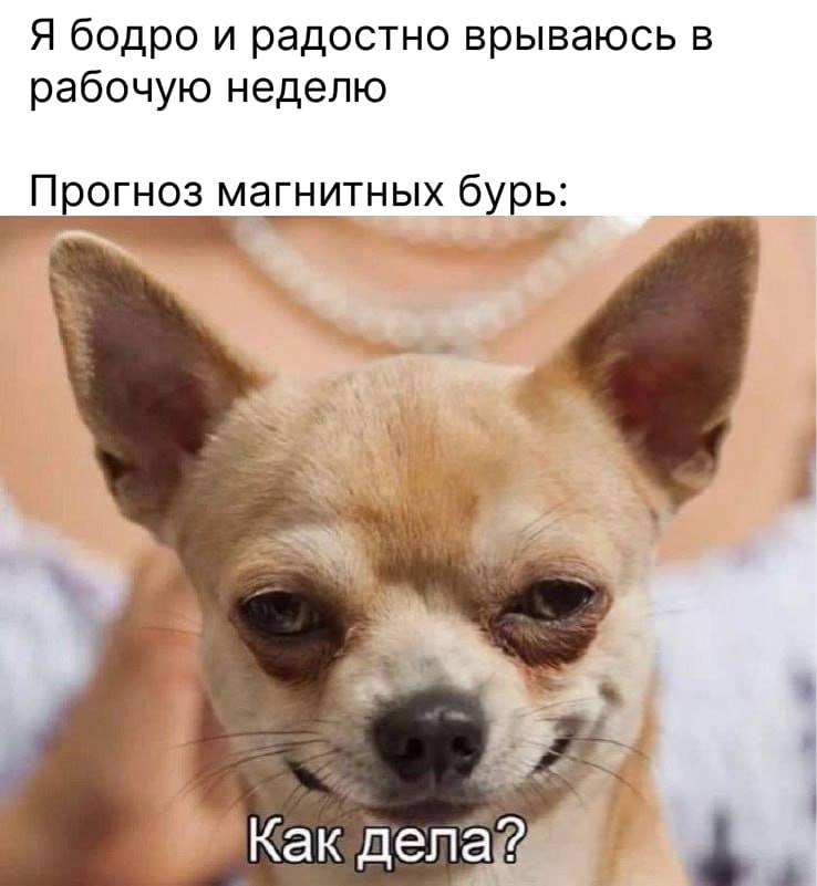 На Солнце началась серия мощных вспышек: когда ждать магнитные бури? В ночь на 25 мая на Солнце произошла вспышка высшего класса X1.1 — это не рекорд максимум — X9 , но за последние дни в одной и той же области светила зафиксировали целую серию вспышек. Что дальше? 26–28 мая — магнитное поле Земли спокойное, бури не ожидаются. 29 мая четверг и 1 июня воскресенье — возможны магнитные бури. 30 мая пятница — геомагнитное поле возбуждённое. 31 мая суббота — снова затишье. Учёные предупреждают: сегодня, 26 мая, возможны новые вспышки класса X, включая протонные. Но пока можно выдохнуть — серьёзных последствий для Земли в ближайшие дни не прогнозируют. Подпишись на «КП-Севастополь»