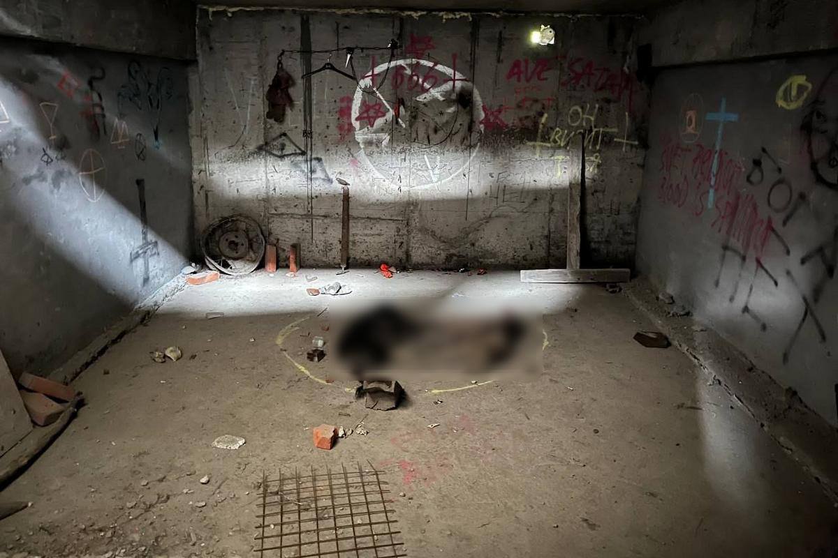 В подвале заброшенного здания Благовещенска нашли трупы животных и нарисованную пентаграмму В четверг, 19 июня, в ряде пабликов в соцсетях опубликована информация о том, что в одном из заброшенных зданий неизвестные устроили место казни бездомных животных. Предполагается, что живодеры — несовершеннолетние горожане. В качестве эшафота они выбрали подвал строения, которое, предположительно, находится за торговым центром «Перекресток». На опубликованных фотографиях и видео отчетливо видно, что стены помещения исписаны красками. Среди них есть и пентаграммы. На полу начерчен круг, в котором лежат мертвые тела двух псов. В настоящее время по данному факту проводится проверка, сообщает пресс-службе управления МВД России по Амурской области.