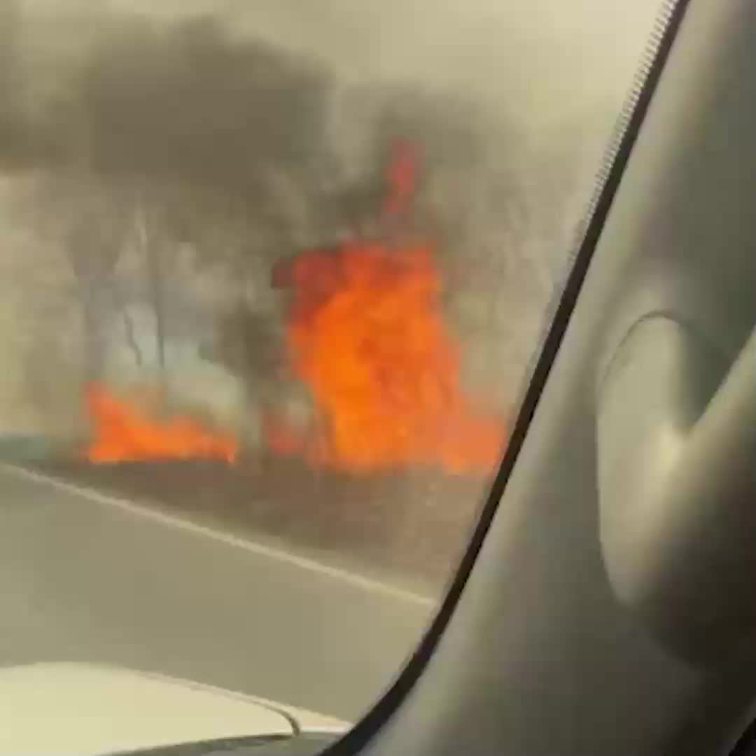 Повышение класса пожароопасности в Приморье из-за сухой погоды