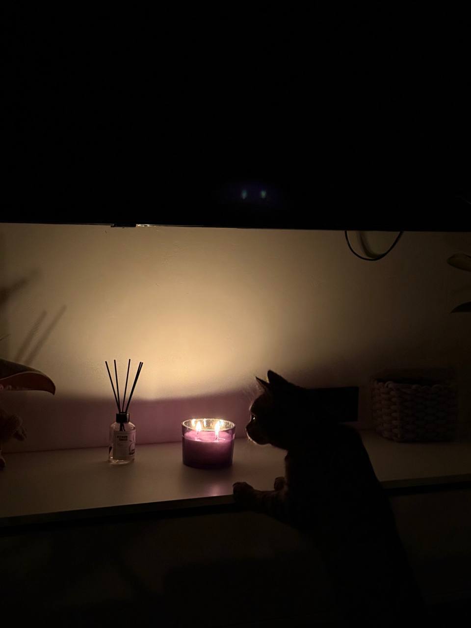 Жители обнинских СНТ жалуются на отсутствие электричества со вчерашнего дня В соцсетях главы города люди пишут что с 18 часов воскресенья света нет в 10 СНТ на территории Обнинска Постоянно проживаем прописка Обнинск единственное жильё с малолетними детьми нас больше 1000 домов замерзающих звоним во все инстанции как игра в футбол никому нет дела просят о помощи жители По словам обнинцев с такой проблемой они сталкиваются регулярно Мы живём в черте города Наши участки ИЖС наши дома постоянное место жительства а не дачные будни Но как только происходит авария на линии мы автоматически становимся потребителями третьей очереди Сегодня уже более 6 часов без электричества а ответственные структуры разводят руками Это СНТ не наша зона ответственности Председатель Звоните ему