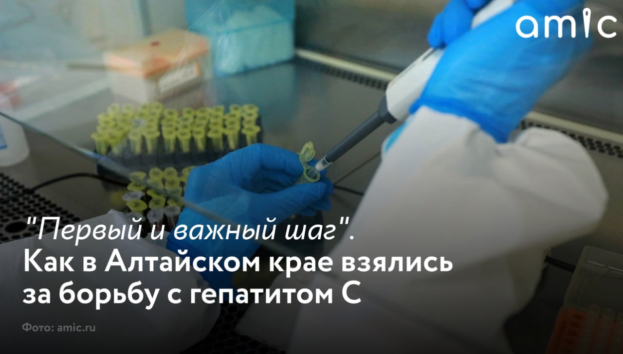 С 2025 года в Алтайском крае начали масштабный комплекс мер по борьбе с вирусным гепатитом C Это одна из немногих хронических болезней которую сегодня можно полностью вылечить за короткий срок подчеркивает главный инфекционист регионального Минздрава Валерий Шевченко Благодаря новому национальному проекту Продолжительная и активная жизнь в край начали поступать препараты для противовирусной терапии которую пациенты получают бесплатно А региональный Минздрав делает все чтобы эта помощь была максимально ближе к каждому Сейчас в Алтайском крае зарегистрировано порядка 10 тысяч пациентов с установленным диагнозом вирусный гепатит C По словам инфекциониста ежегодно в регионе выявляют от 1000 до 1300 новых случаев С этого года началась децентрализация Еще в прошлом году лечение было доступно только в Барнауле Сейчас терапию можно пройти в Рубцовске Камне на Оби Бийске Павловске Алейске и ряде районов Для пациентов которые живут в этих округах это большое удобство поясняет Шевченко Закупка лекарственных средств для лечения больных гепатитом С осуществляется не только за счет федерального бюджета На краевые средства Минздрав региона осуществляет закупку дополнительных препаратов для терапии в амбулаторных условиях В 2025 году на эти цели было выделено 6 млн рублей О том сколько человек уже проходят лечение и как эта помощь будет расширяться в ближайшие годы в материале amic ru