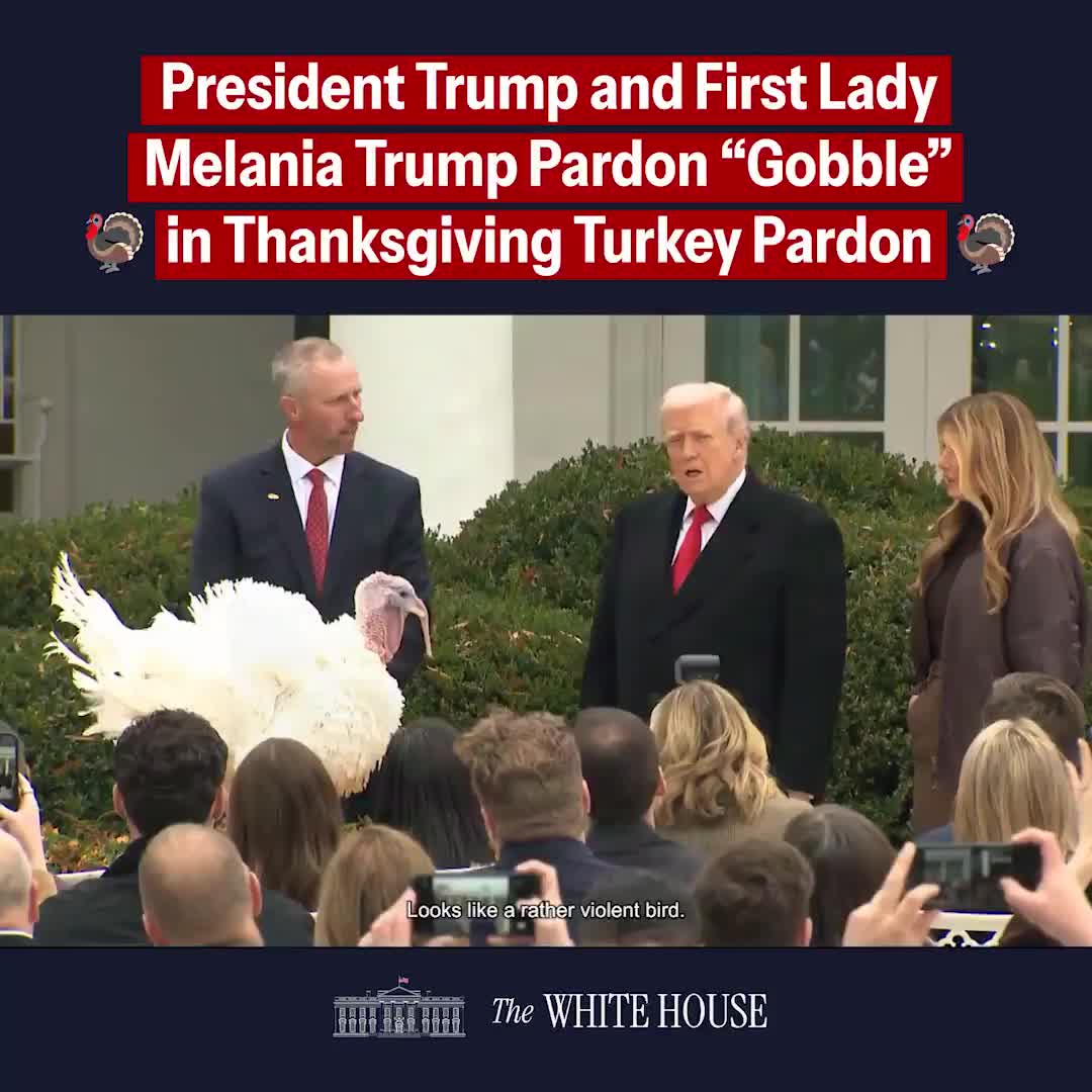 Президент Трамп помиловал индеек Курлыку и Вихлюна в честь Дня благодарения