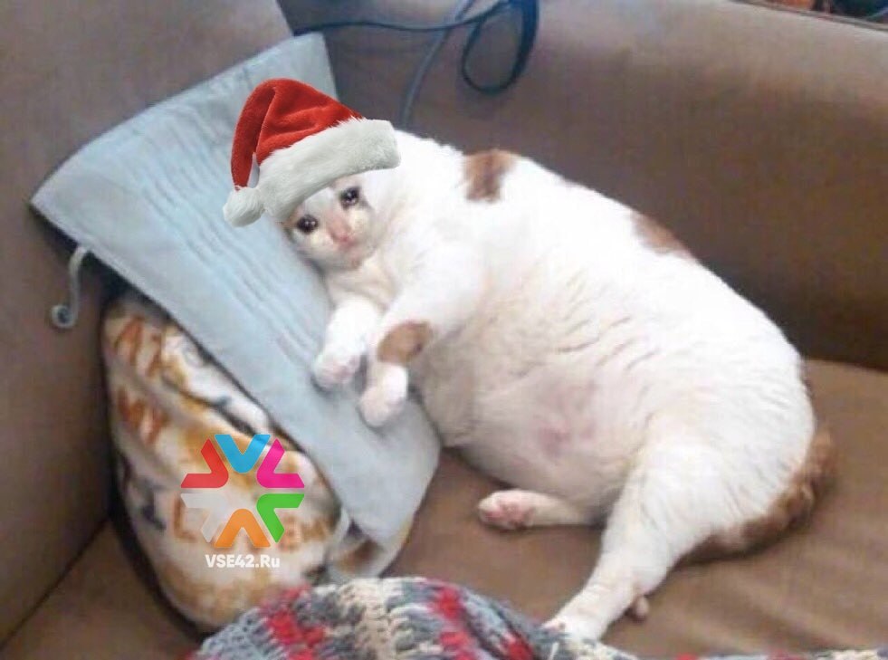 Сильная магнитная буря накроет Кузбасс в канун Нового года Возмущения начнутся вечером 29 декабря и быстро достигнут уровня сильной магнитной бури Такая интенсивность сохранится большую часть 30 декабря Только к вечеру вторника геомагнитная обстановка начнёт улучшаться снизившись до умеренных колебаний К 15 00 31 декабря в самый канун Нового года активность спадет до слабого уровня Магнитные бури могут влиять на самочувствие людей особенно тех кто чувствителен к перепадам погоды В эти дни рекомендуется снизить физическую и эмоциональную нагрузку избегать стрессов пить больше чистой воды соблюдать режим сна Подписаться на VSE42 Ru Подписаться на нас в MAX