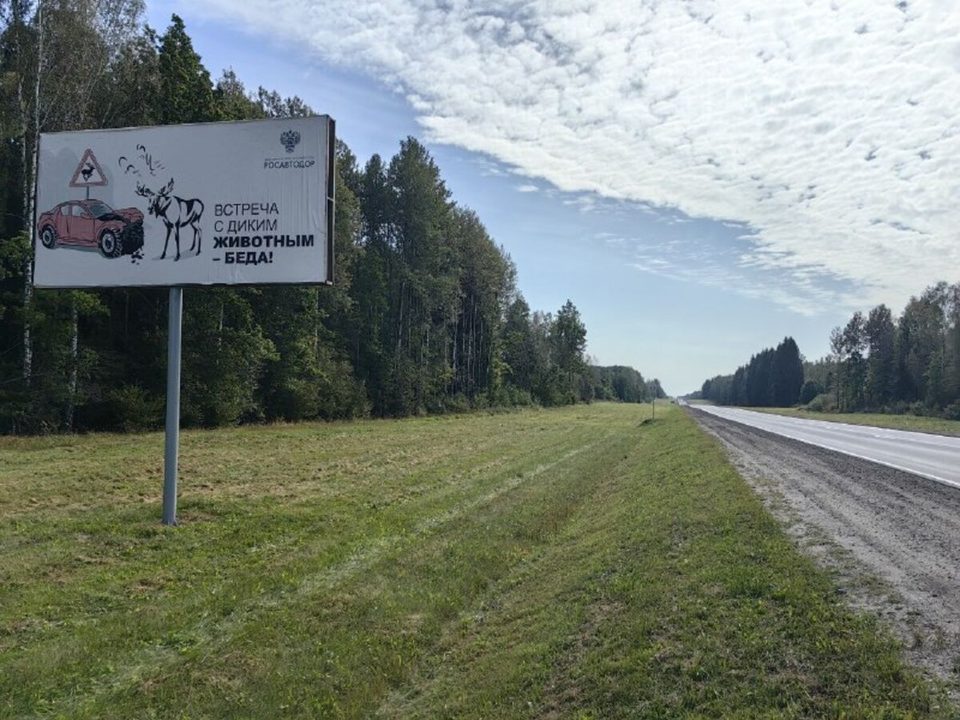 Калужская область на втором месте по числу ДТП с лосями в 2025 году С наступлением осени в калужских лесах активизируются лоси В период размножения животные становятся более непредсказуемыми и часто выходят на дороги Особенно опасно это ночью и в предрассветные часы когда видимость ограничена С начала года на федеральных трассах Москва Бобруйск зарегистрировано 138 ДТП с участием диких животных 41 из которых произошли в Калужской области Для сравнения в Смоленской области зафиксировано 74 аварии в Брянской 22 а в Орловской всего один случай Дорожники напоминают водителям   снижайте скорость рядом с лесами и полями   включайте ближний свет фар в любое время суток   будьте готовы к экстренному торможению   сообщайте о замеченных животных в ГИБДД