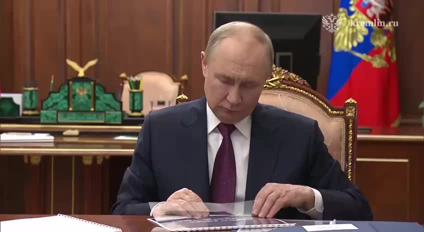 Президент обсудил с Дмитрием Григоренко развитие портала госуслуг и борьбу с мошенничеством