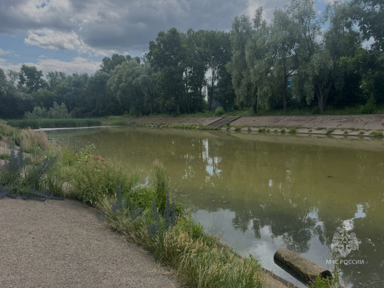 В озере у парка Тинчурина нашли тело мужчины В МЧС предположили, что мужчина мог поскользнуться и упасть с берега в воду. Спасатели вытащили тело и передали его полицейским. Подписаться на «Вечерку»