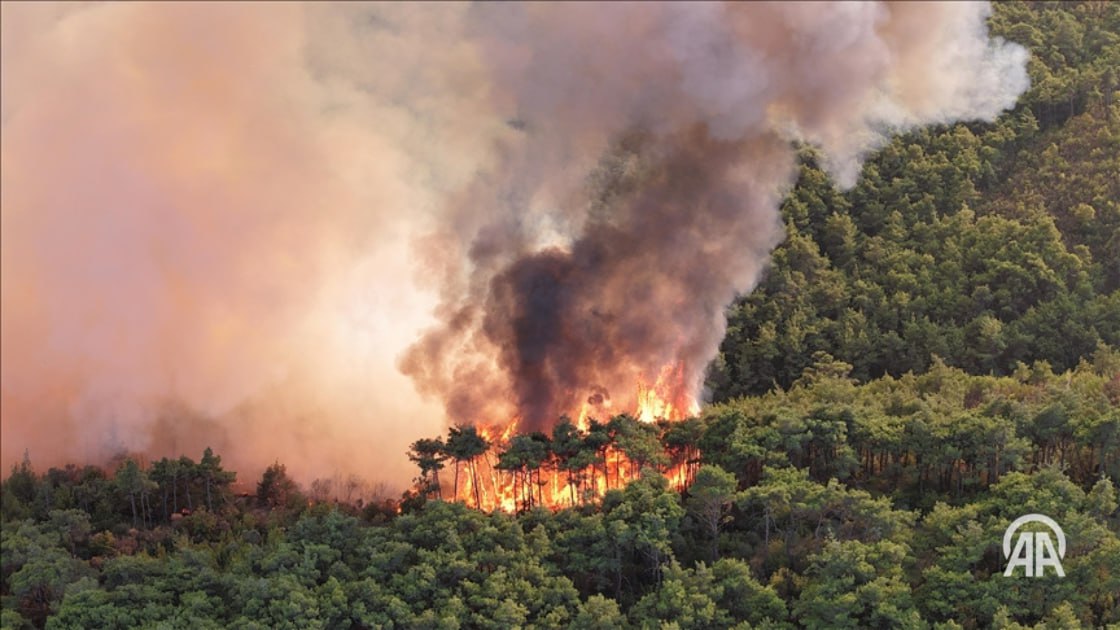 В северной части Ирана в лесах Хиркани уже несколько дней бушует крупный пожар который вновь усилился в горном районе Элит в провинции Мазендаран На фоне сильных пожаров правительство Ирана обратилось с просьбой о международной помощи Сильный ветер и высокая трава ускоряют распространение огня при этом в регионе можно использовать только ограниченное количество вертолетов Подробнее на нашем сайте v aa com tr 3750525 24 7 в сутки с Агентством Анадолу