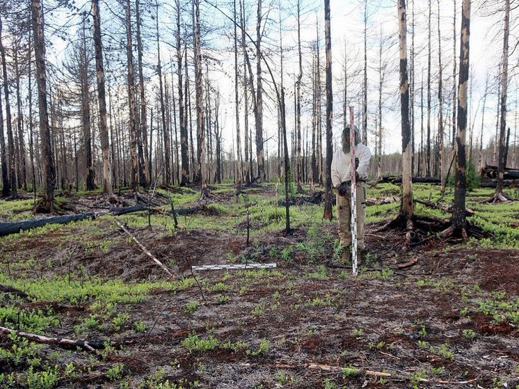 В Надымском районе зарегистрирован юбилейный объект культурного наследия округа