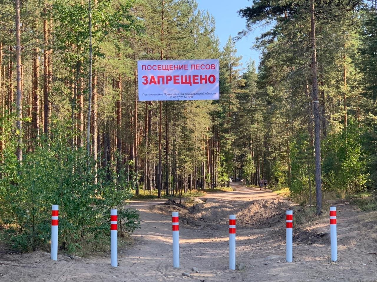 В Кировской области вводится ограничение на посещение лесов С 30 мая в нашем регионе установлен особый противопожарный режим. Он будет действовать 21 день. На этот период ограничивается: – пребывание граждан в лесах; – разведение костров, проведение пожароопасных работ, работ с использованием огня в лесах и на прилегающих к ним территориях на расстоянии не менее 200 метров. Подписаться