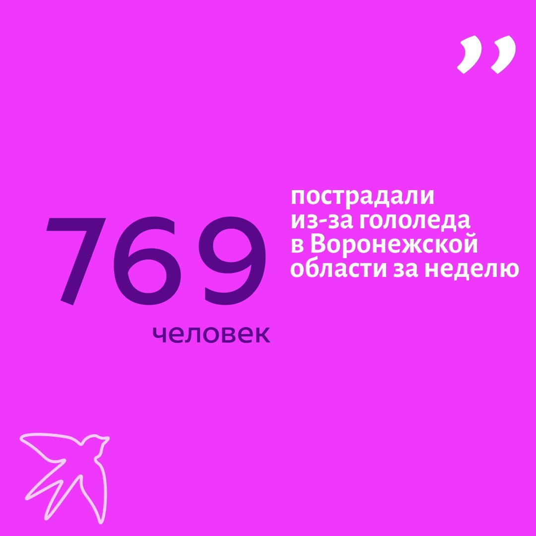 В период с 13 по 19 февраля с травмами различного характера в медицинские учреждения Воронежской области обратились 3 076 человек. Об этом сообщили 20 февраля в региональном минздраве.  Там пояснили, что большинство пациентов – жители Воронежа. Медпомощь потребовалась 2 237 человекам.  А вот 769 человек пострадали именно из-за гололеда. 74 из них даже попали в стационар. Кроме того, в условиях аномальных холодов за неделю в регионе было зарегистрировано сразу 18 случаев обморожения, а также один переохлаждения. Четыре пациента были госпитализированы.