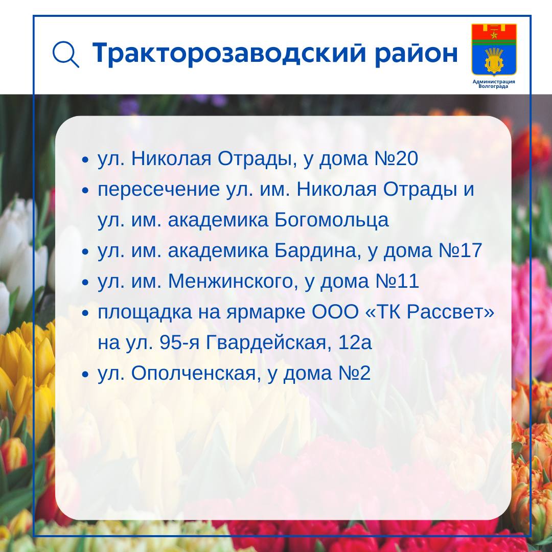 Точки по продаже цветов откроются во всех районах Волгограда к 8 Марта    Приобрести приятный подарок для дам можно будет на специализированных площадках, в киосках и павильонах, магазинах и торговых сетях, на городских ярмарках и рынках, в том числе на традиционной цветочной ярмарке на улице Советской рядом с Центральным рынком.    Всего откроется более 60 точек продажи. Больше всего в Красноармейском, Кировском и Дзержинском районах.    Подписаться